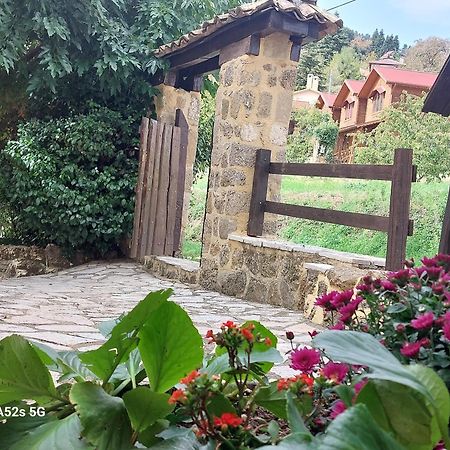 Вілла Εν Αρχή - En Arhi Ано-Трікала Екстер'єр фото