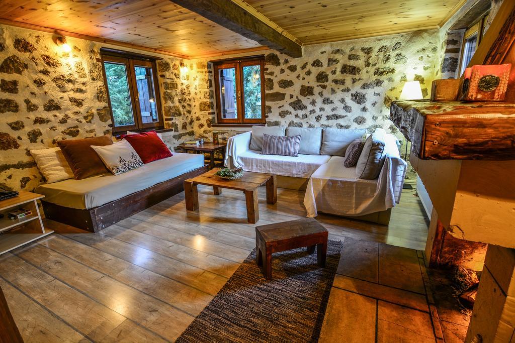 Вілла Εν Αρχή - En Arhi Ано-Трікала Екстер'єр фото